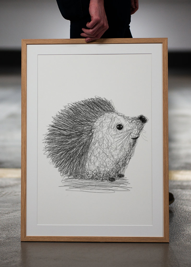 Hérisson griffonné