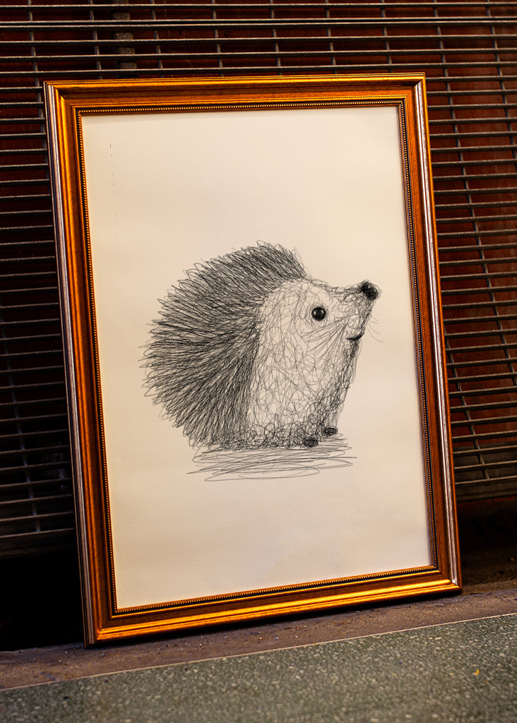 Hérisson griffonné