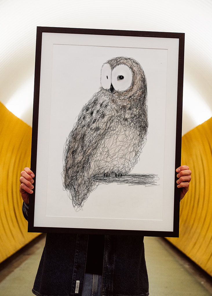 Hibou gribouillé