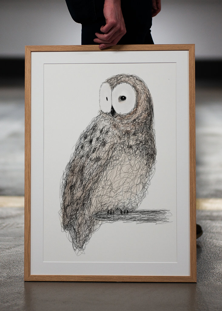 Hibou gribouillé