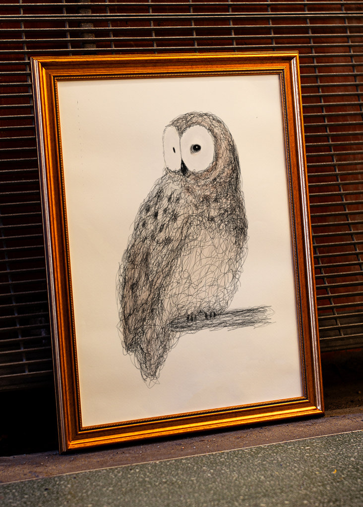 Hibou gribouillé