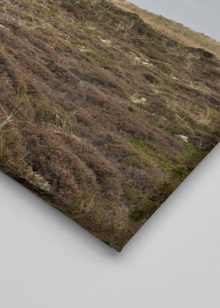 maison solitaire dans les dunes II