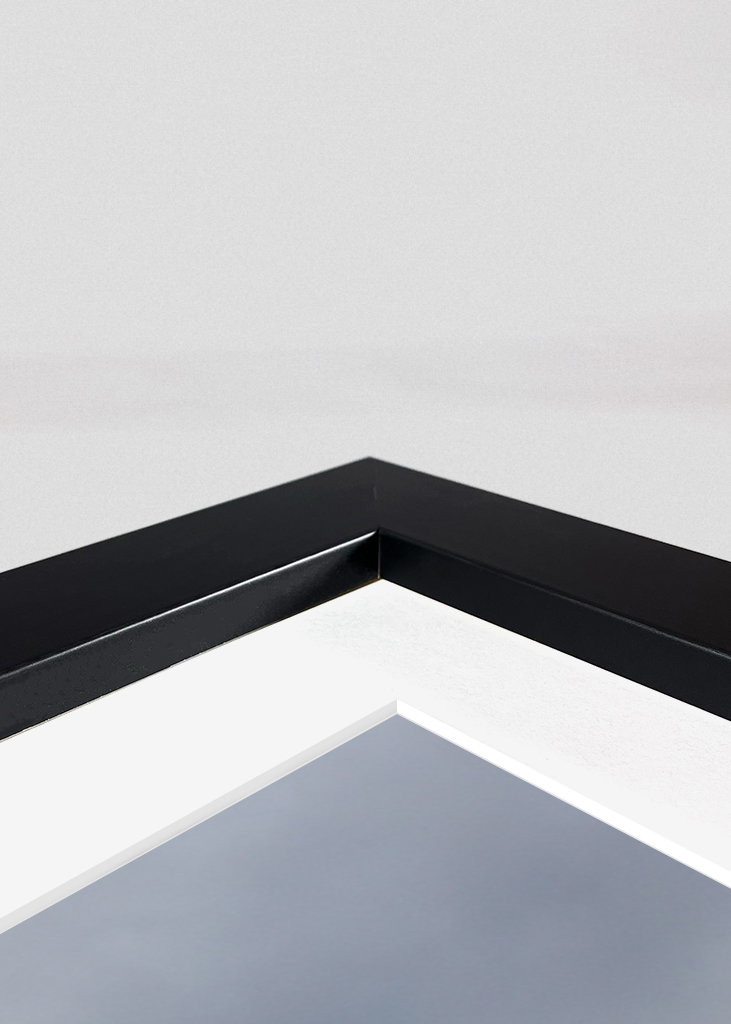 maison solitaire dans les dunes II