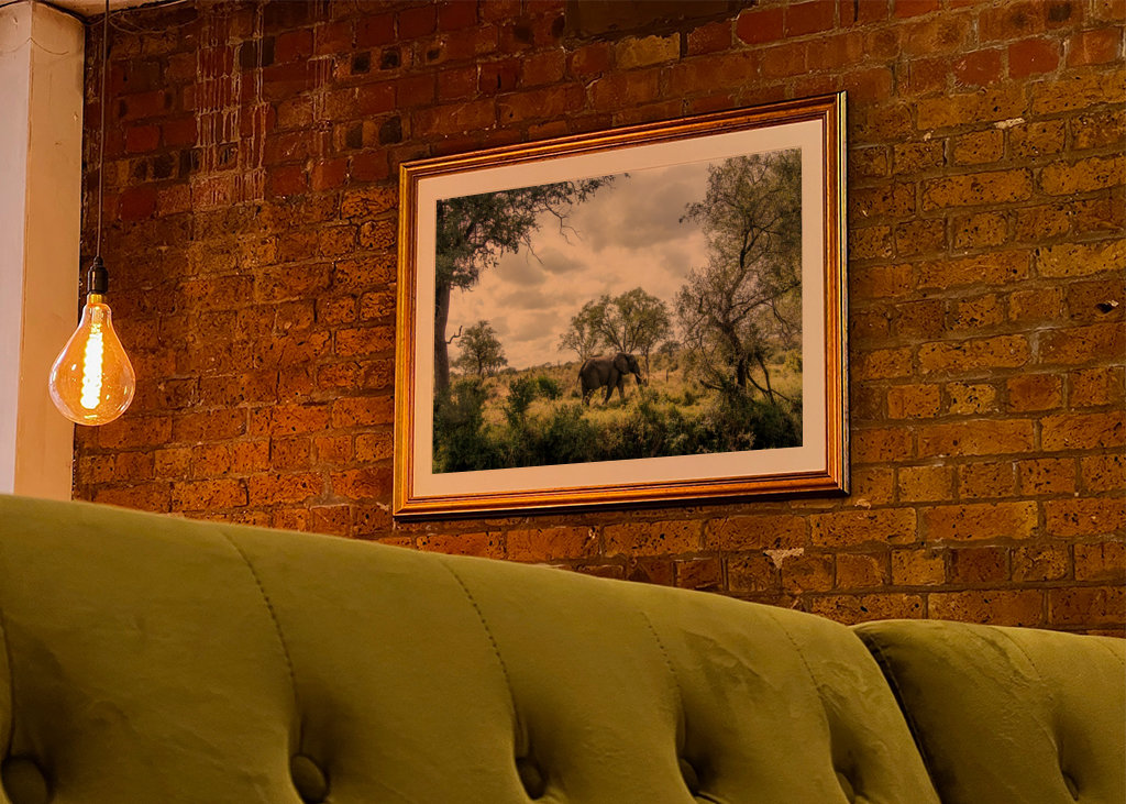 Éléphant solitaire 