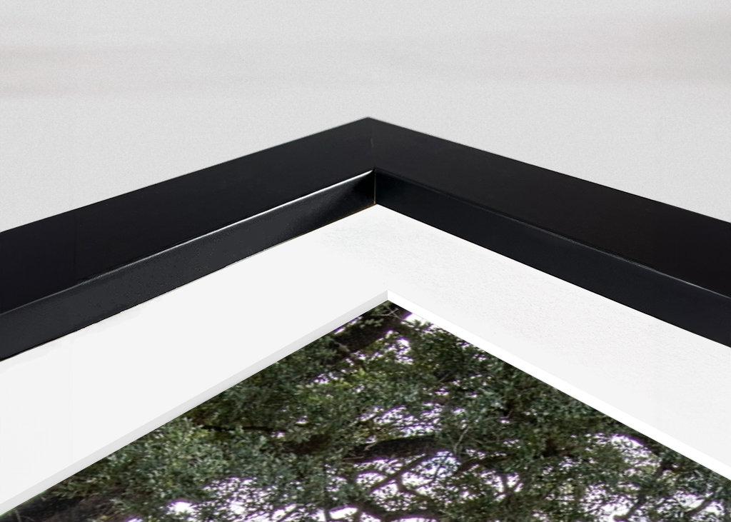 Éléphant solitaire 