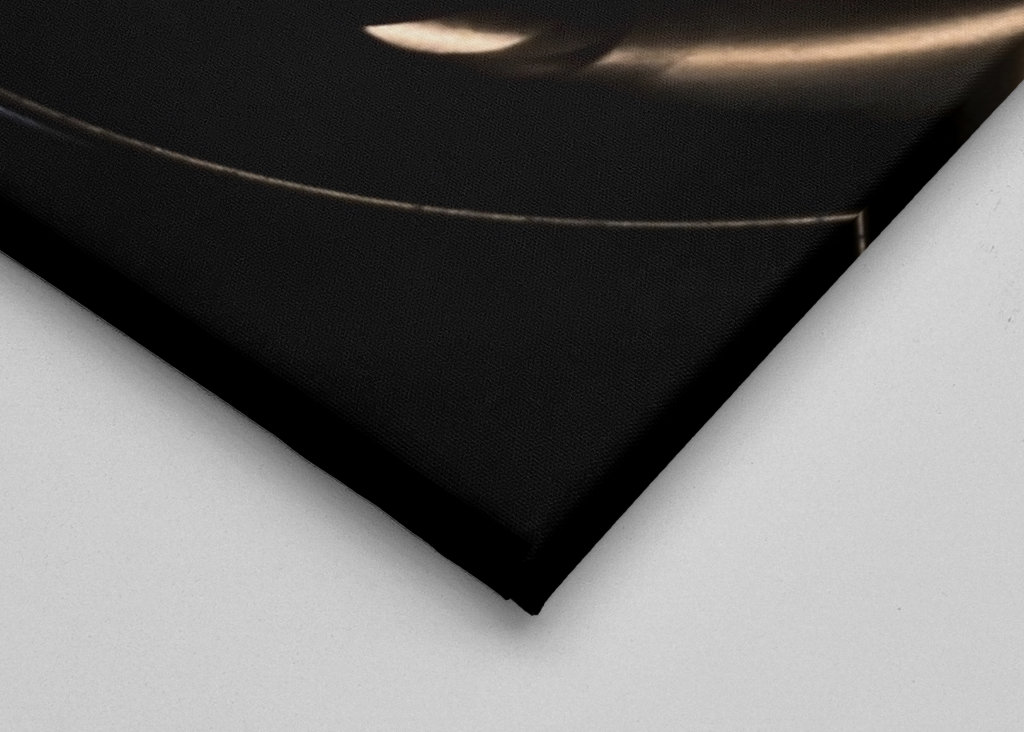 Beef with potato gratin