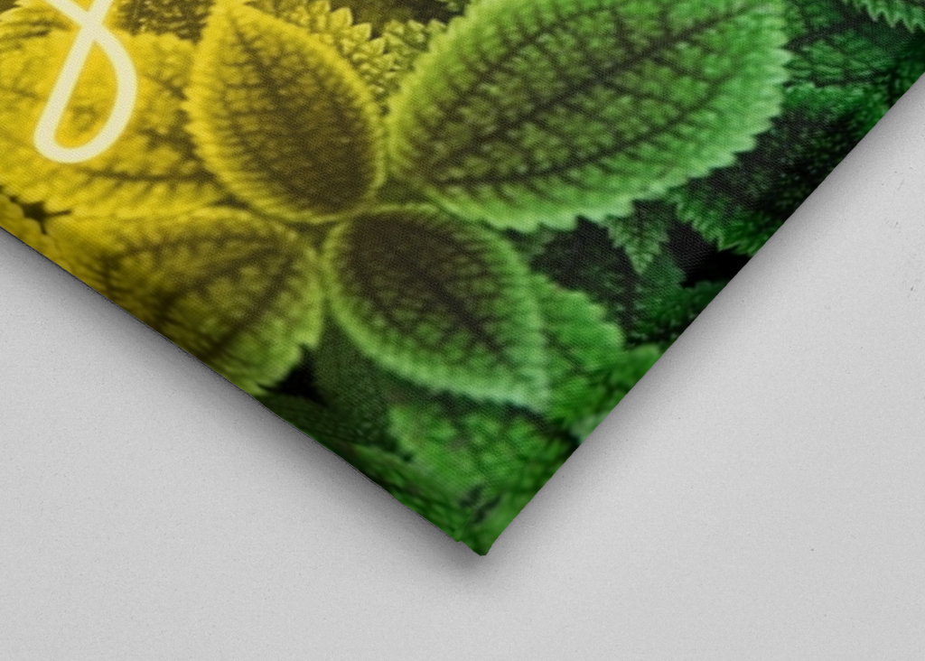 A picture with emotion "smile„