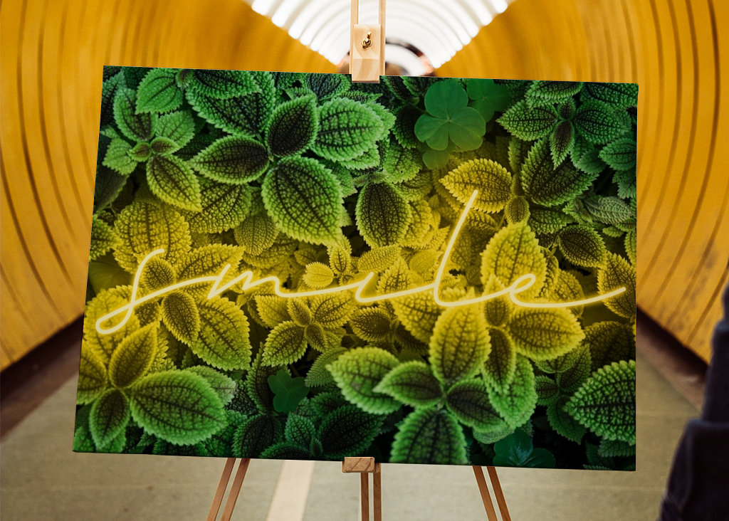 A picture with emotion "smile„