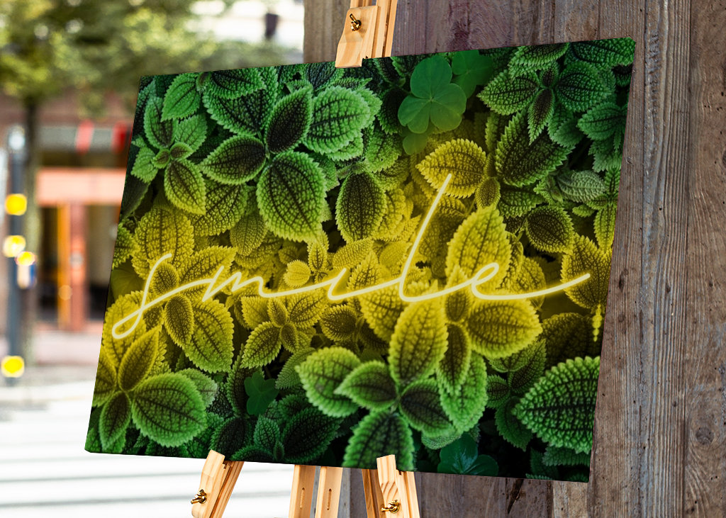 A picture with emotion "smile„