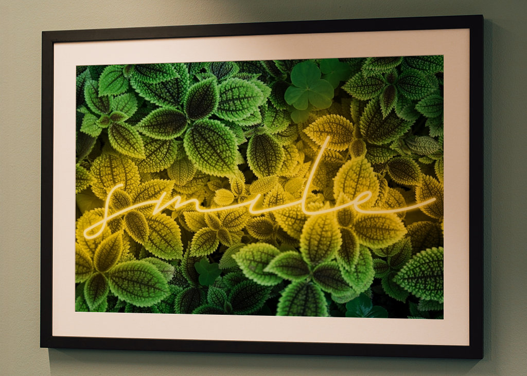 A picture with emotion "smile„