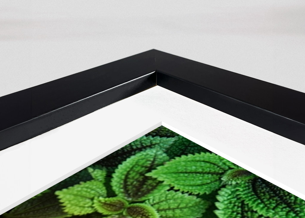 A picture with emotion "smile„