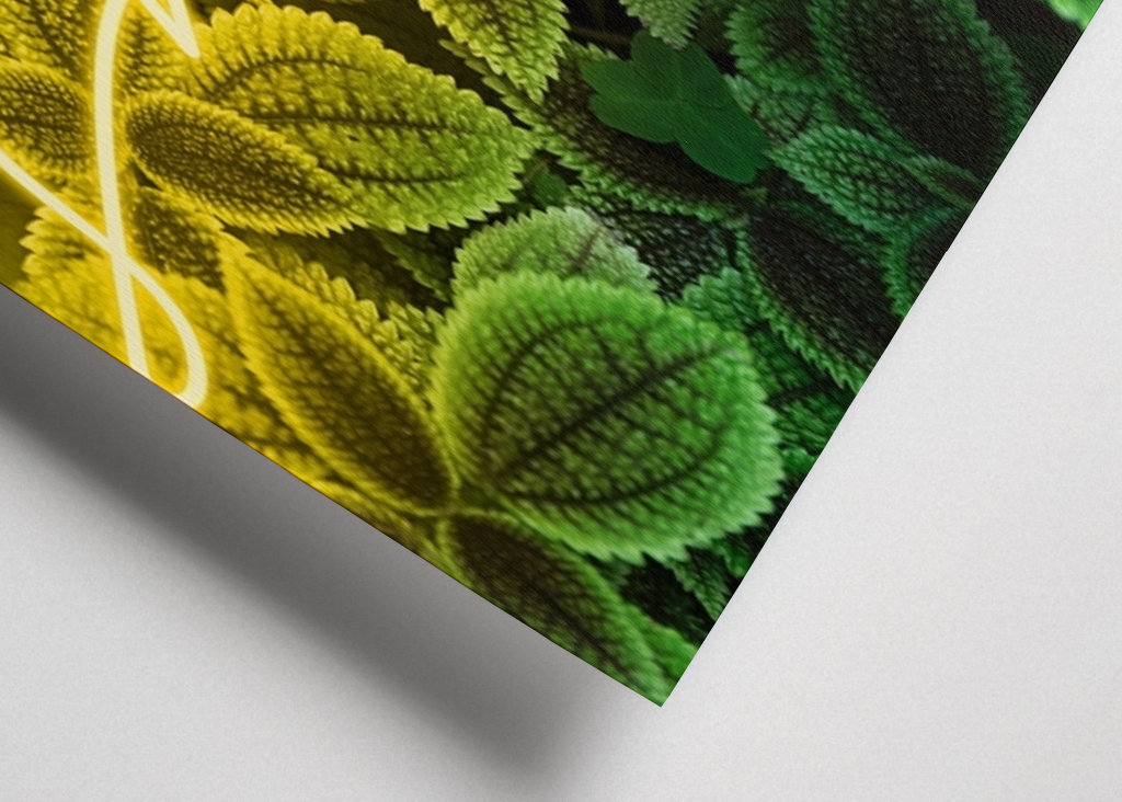 A picture with emotion "smile„