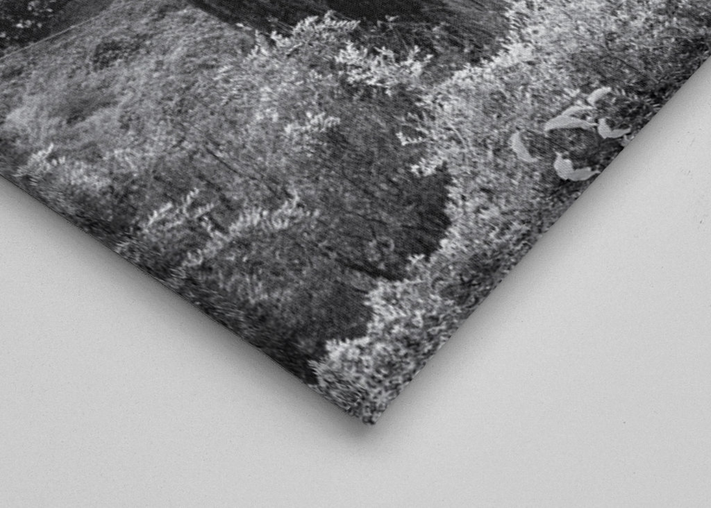 Niebla en la Toscana