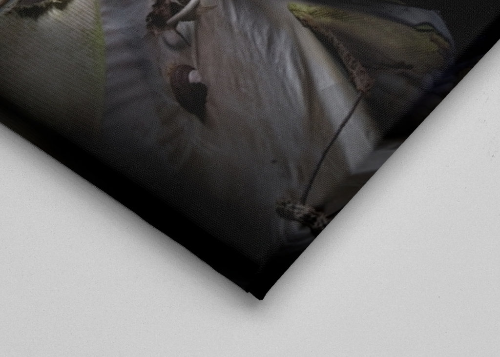 UFO-Absturz im Wald, 