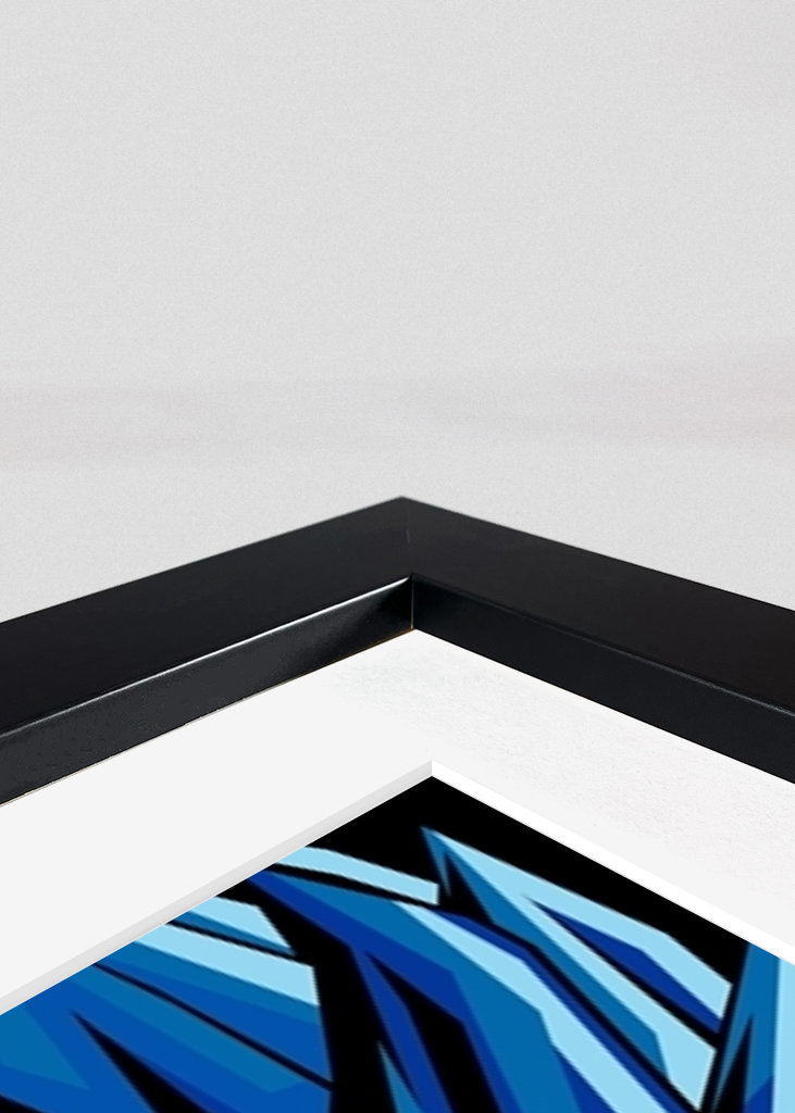 Son Goku Dragon Ball