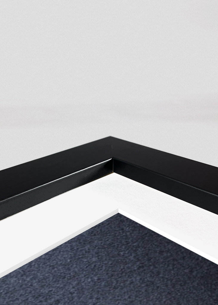 pimientos de padrón