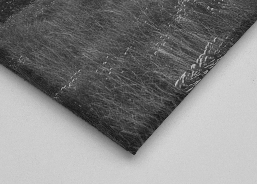 Schwarz-Weiß-Landschaft