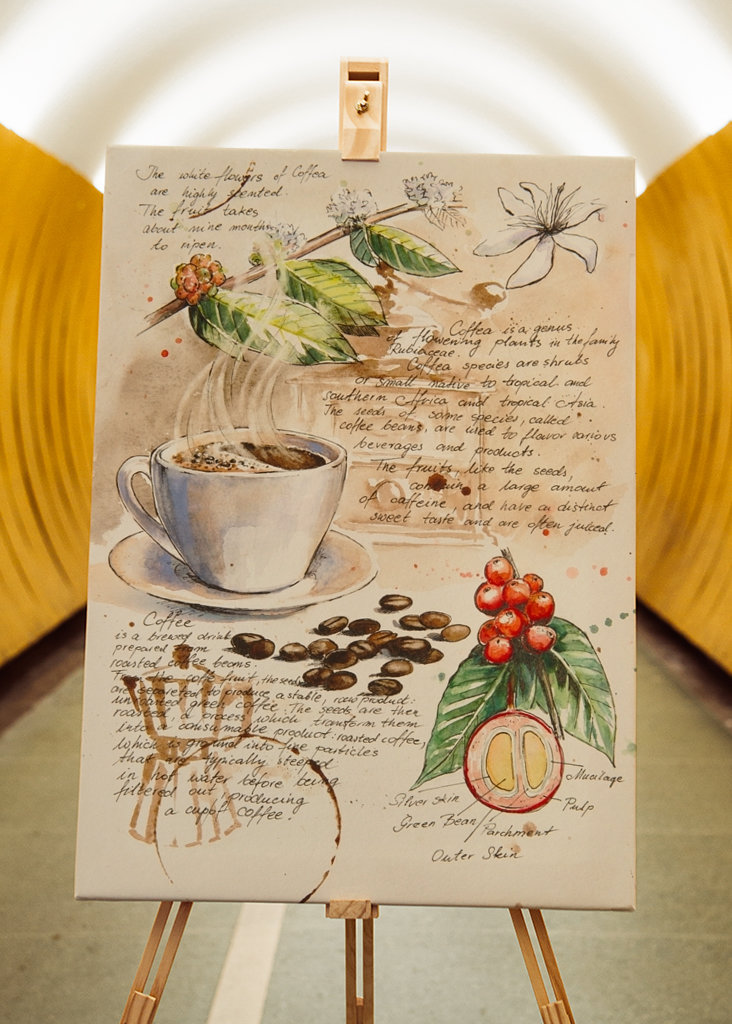 Del Cuaderno de Botánica - Café II