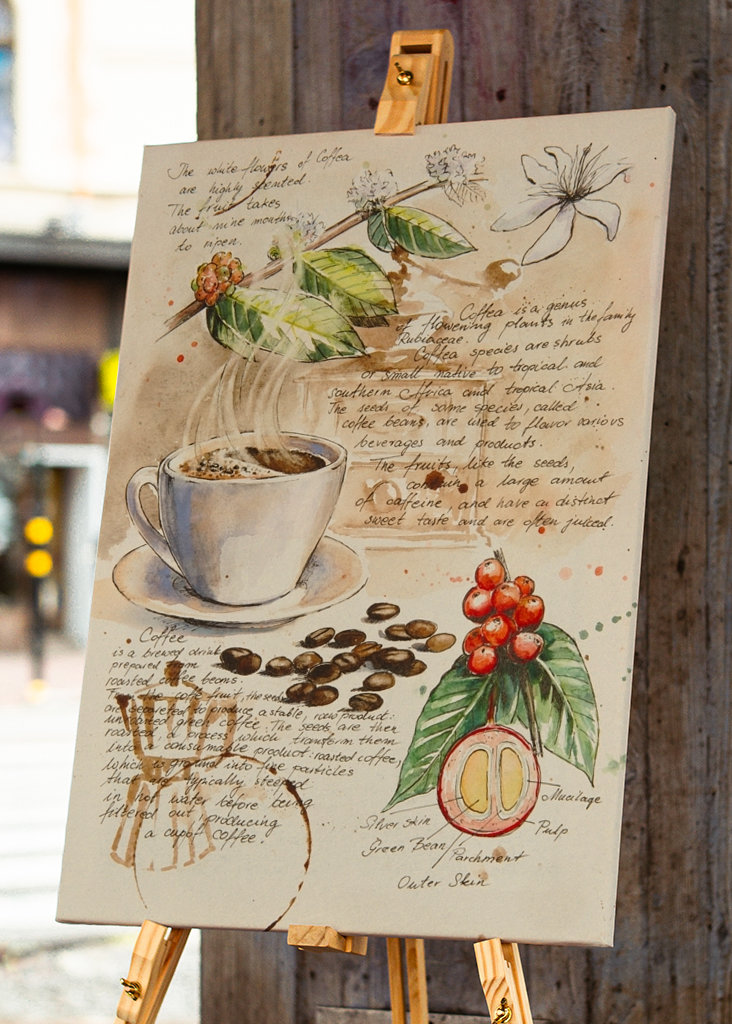 Del Cuaderno de Botánica - Café II