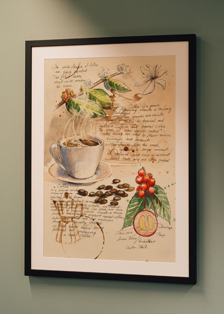 Del Cuaderno de Botánica - Café II