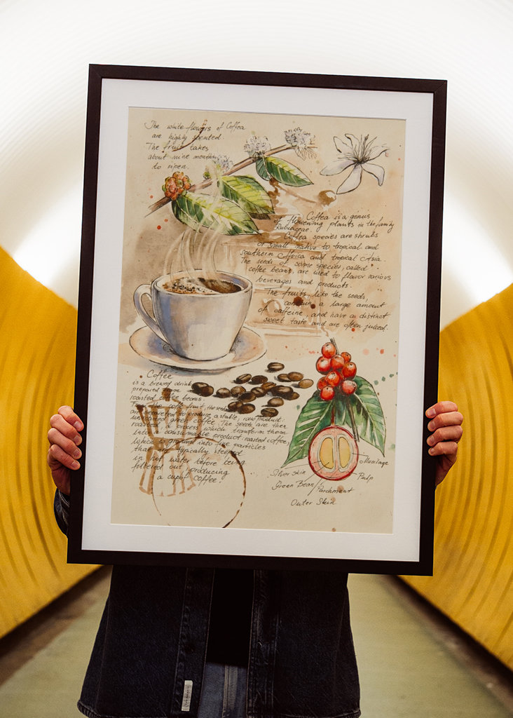 Del Cuaderno de Botánica - Café II