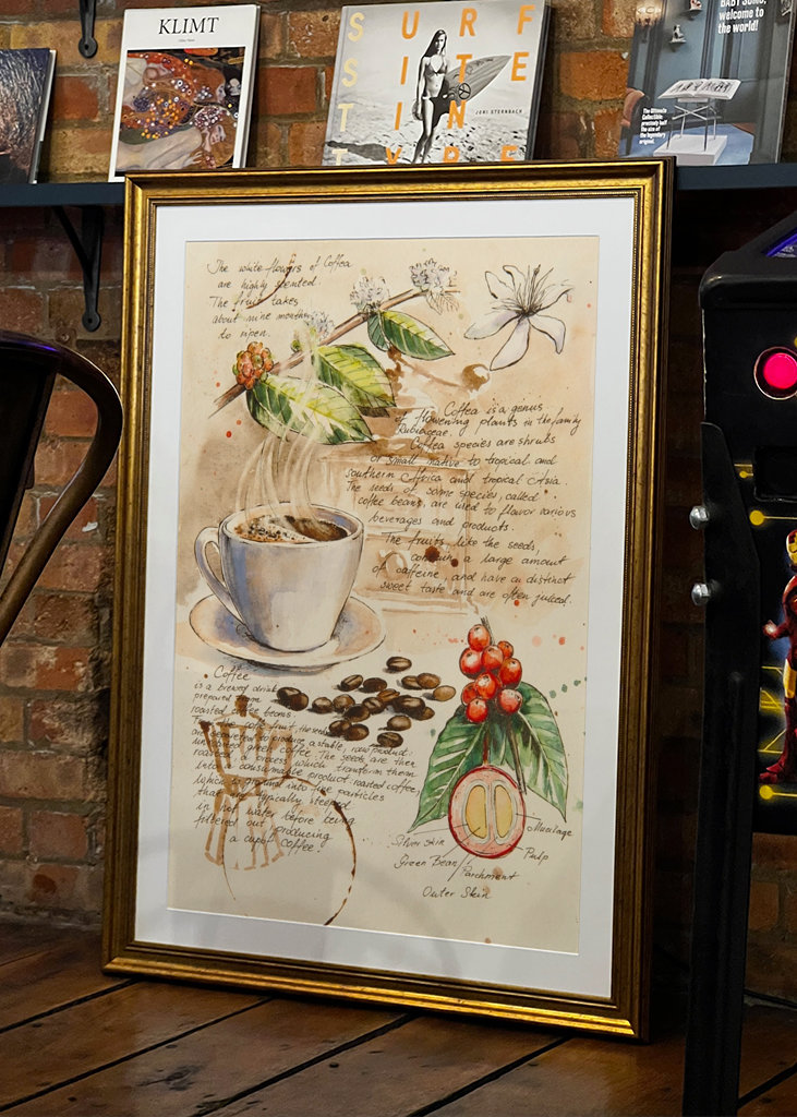 Del Cuaderno de Botánica - Café II