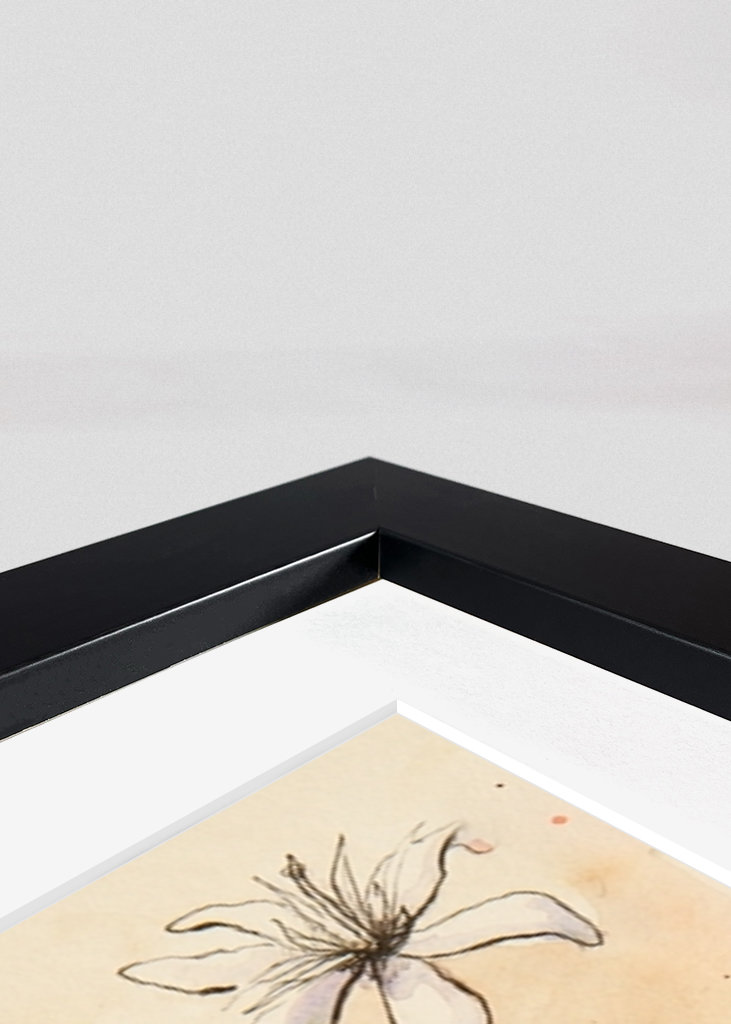 Del Cuaderno de Botánica - Café II