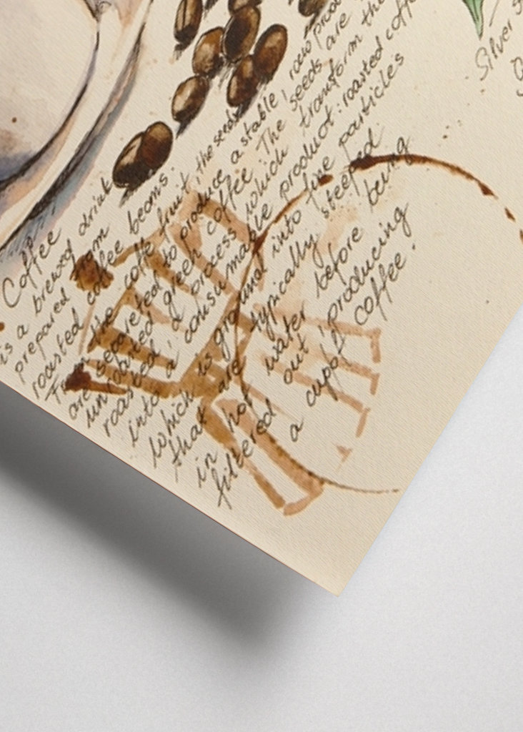 Del Cuaderno de Botánica - Café II