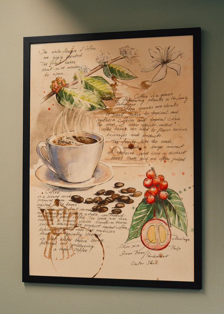 Del Cuaderno de Botánica - Café II