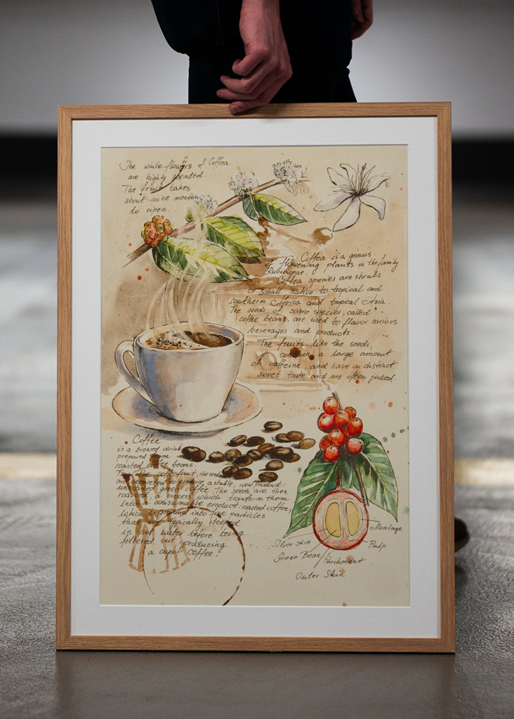 Del Cuaderno de Botánica - Café II