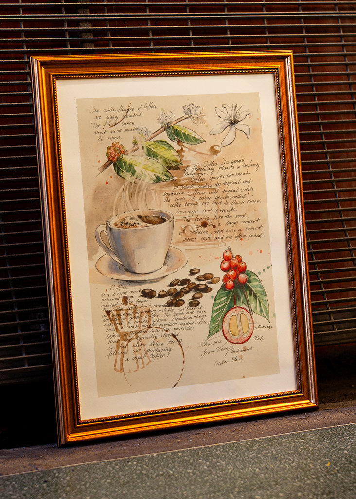 Del Cuaderno de Botánica - Café II