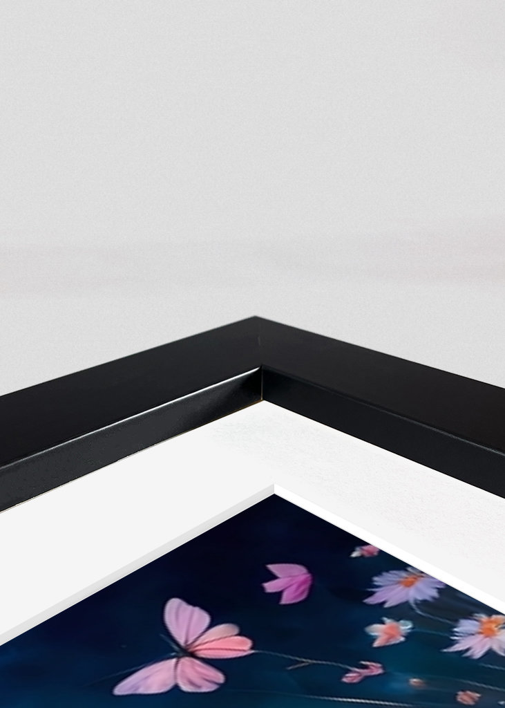 Marguerite dans le jardin