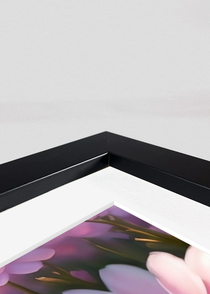 Marguerite et papillon