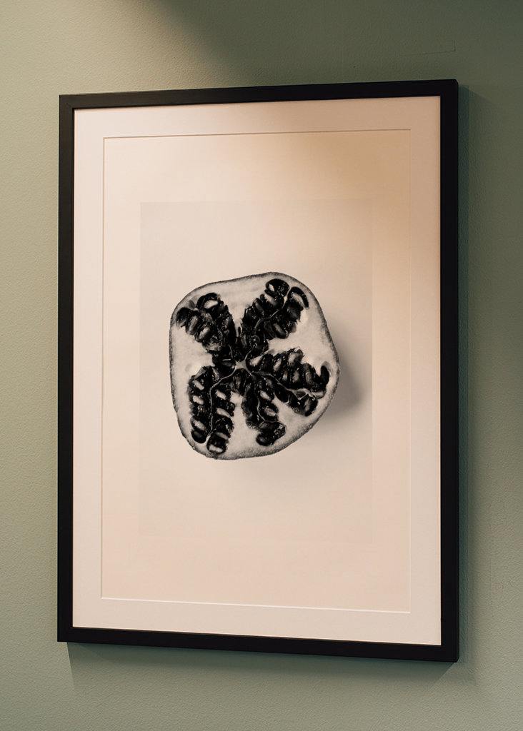 Granátové jablko v černé a bílé 1 z 2