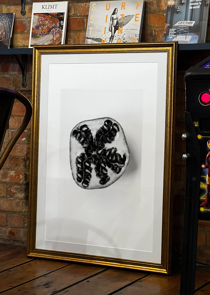 Granátové jablko v černé a bílé 1 z 2