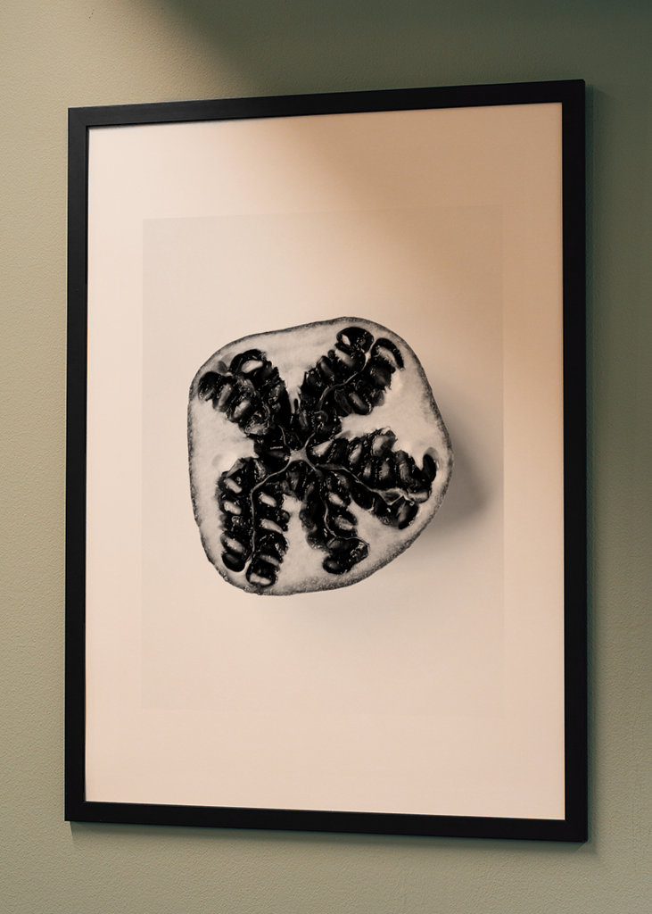 Granátové jablko v černé a bílé 1 z 2