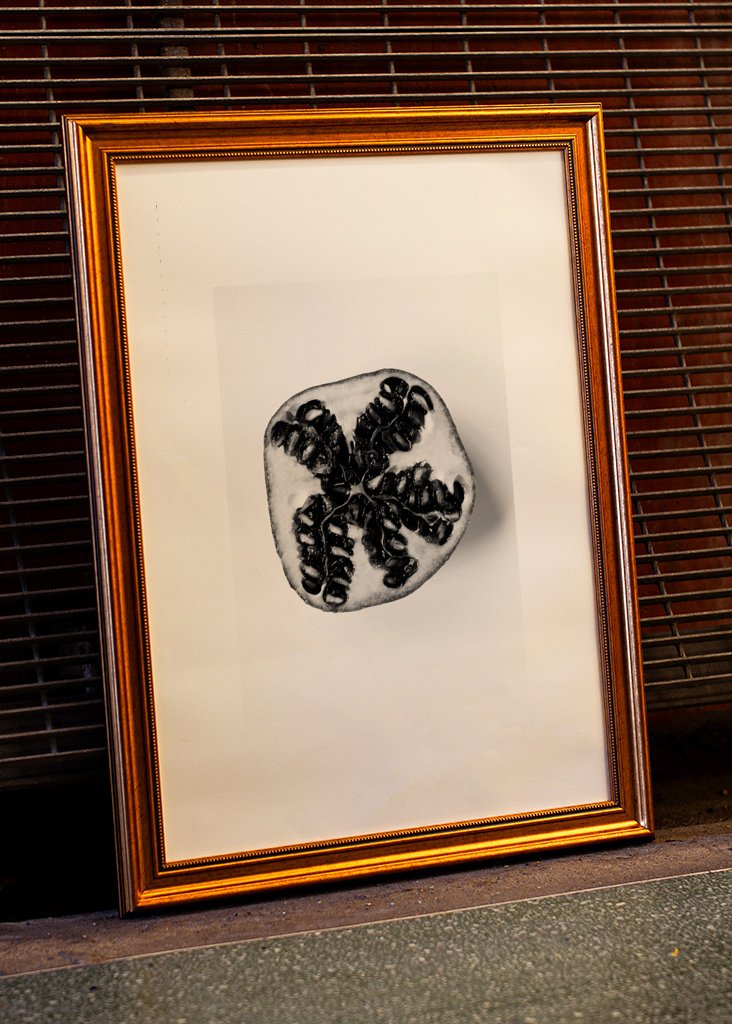 Granátové jablko v černé a bílé 1 z 2