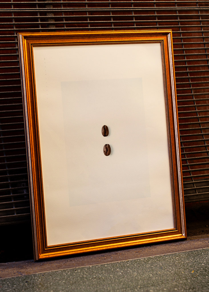 Kávová zrna na bílém pozadí 2