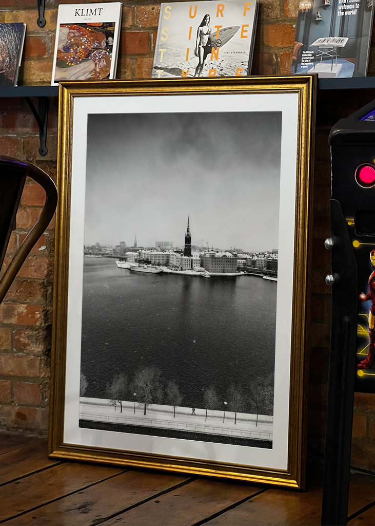 Schneebedecktes Stockholm BW