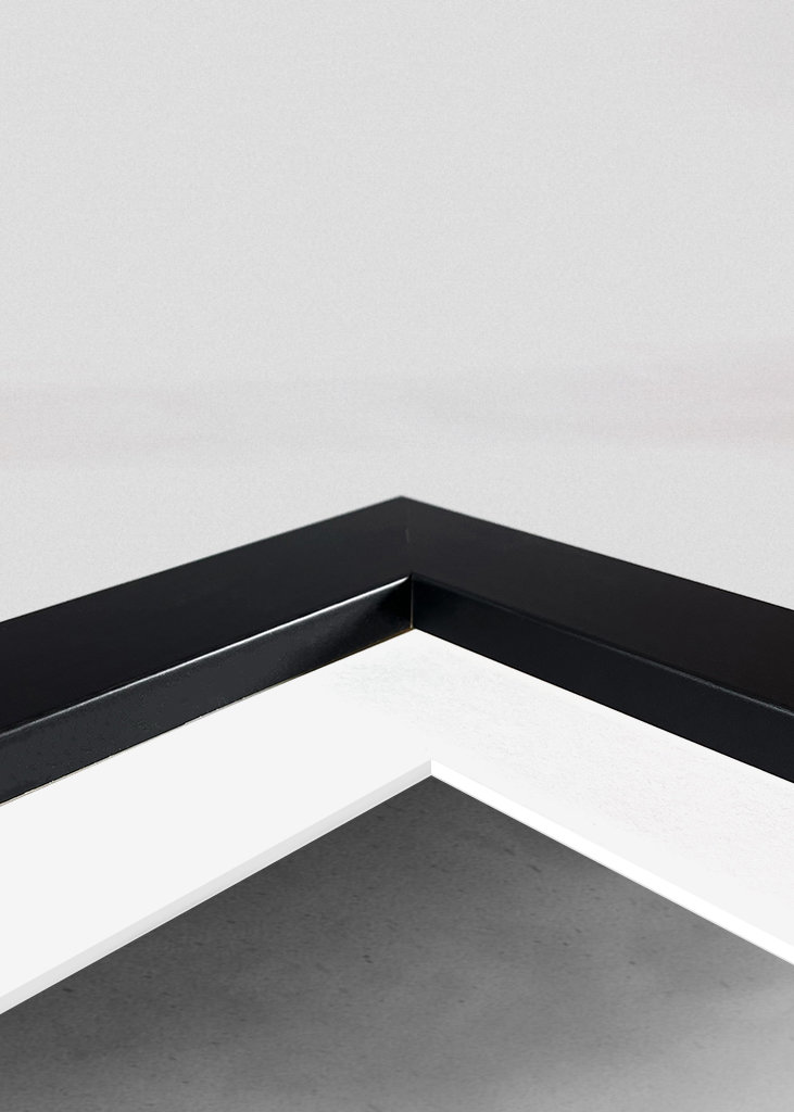 Schneebedecktes Stockholm BW