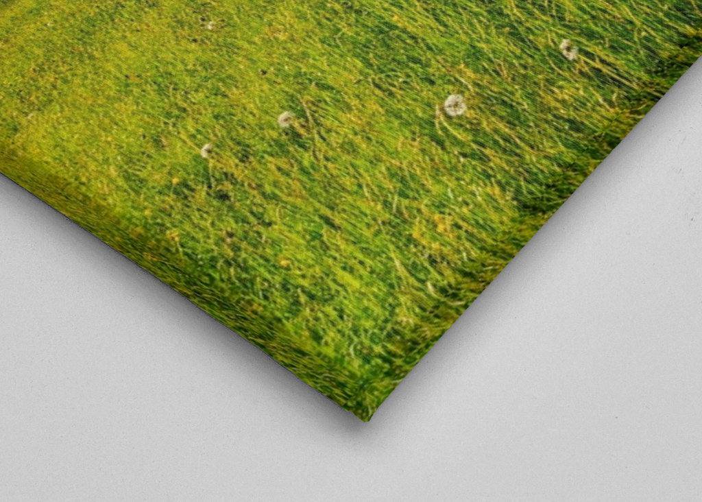 Frühling im Allgäu