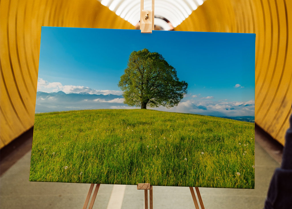 Frühling im Allgäu