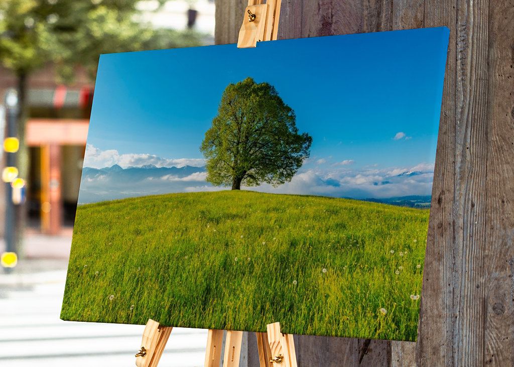 Frühling im Allgäu