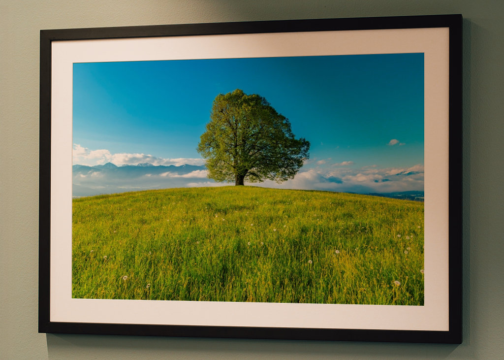 Frühling im Allgäu