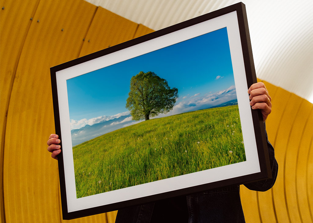 Frühling im Allgäu