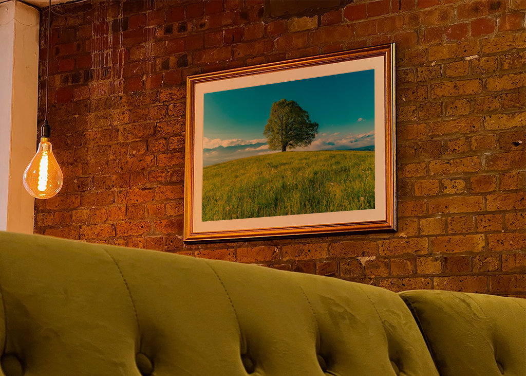 Frühling im Allgäu