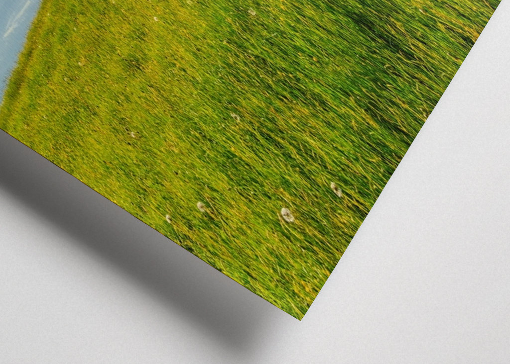 Frühling im Allgäu