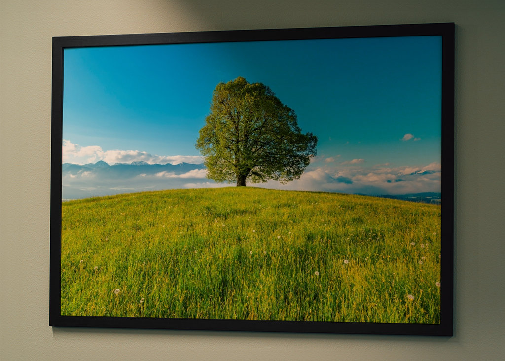 Frühling im Allgäu