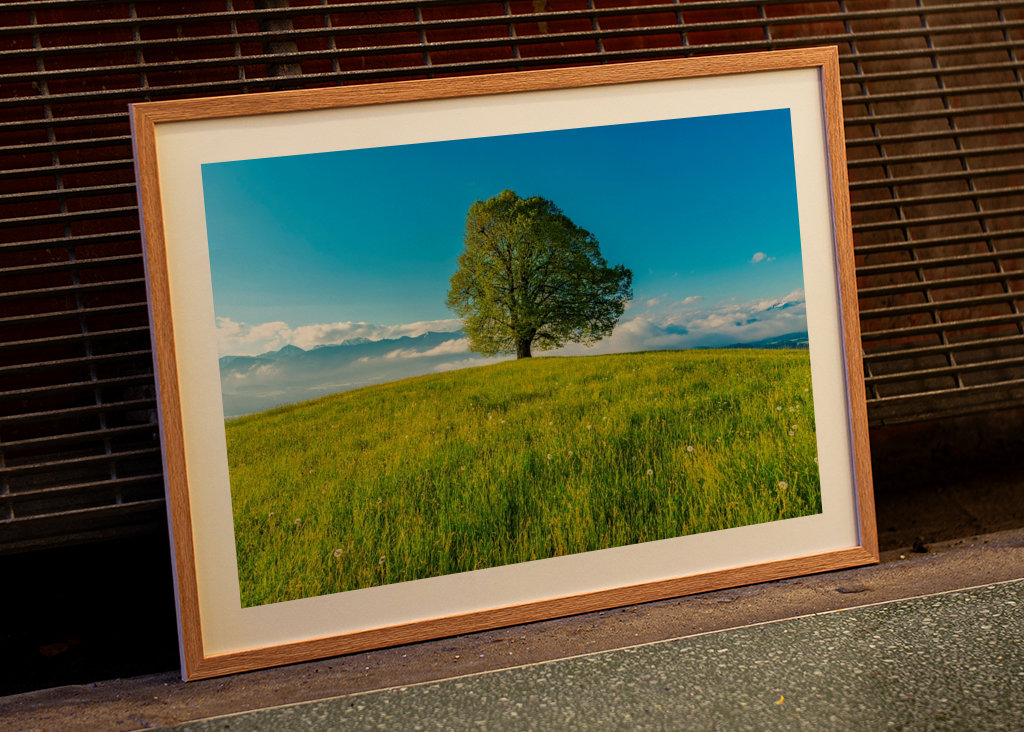 Frühling im Allgäu