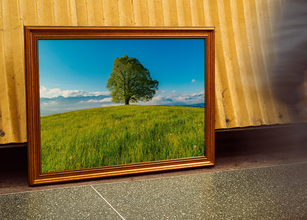 Frühling im Allgäu